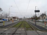 Imagine atasata: Stefan cel Mare - 2014.11.30 - 29.jpg